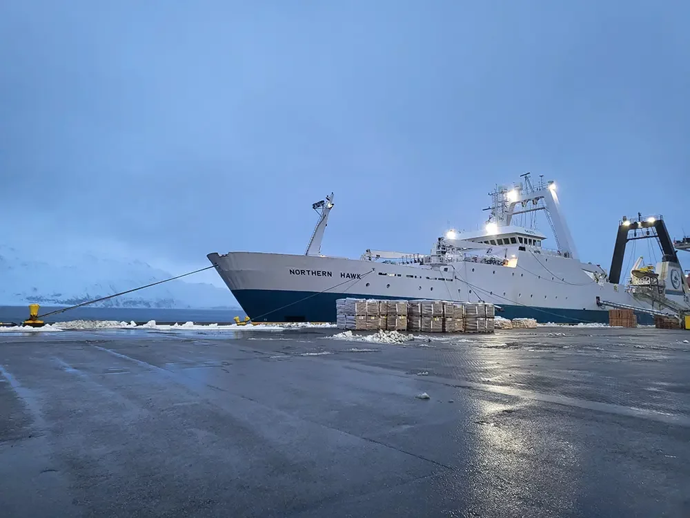 Dutch Harbor Ballyhoo Terminal Northern Hawk