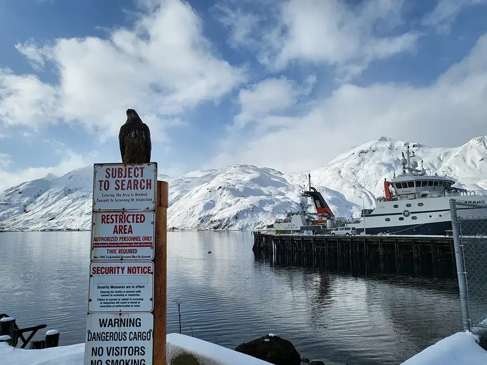 Dutch Harbor Captains Bay Dock 0